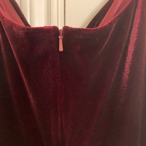 Revelry Skye Velvet Dress - Picture 6 of 7